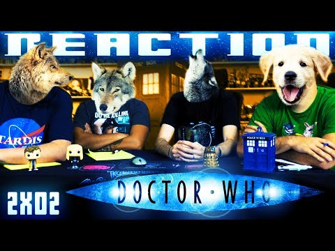 Doctor Who 2x2 Reaction
