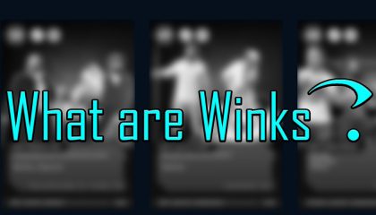 What are winks? Major website update live April 1 2025